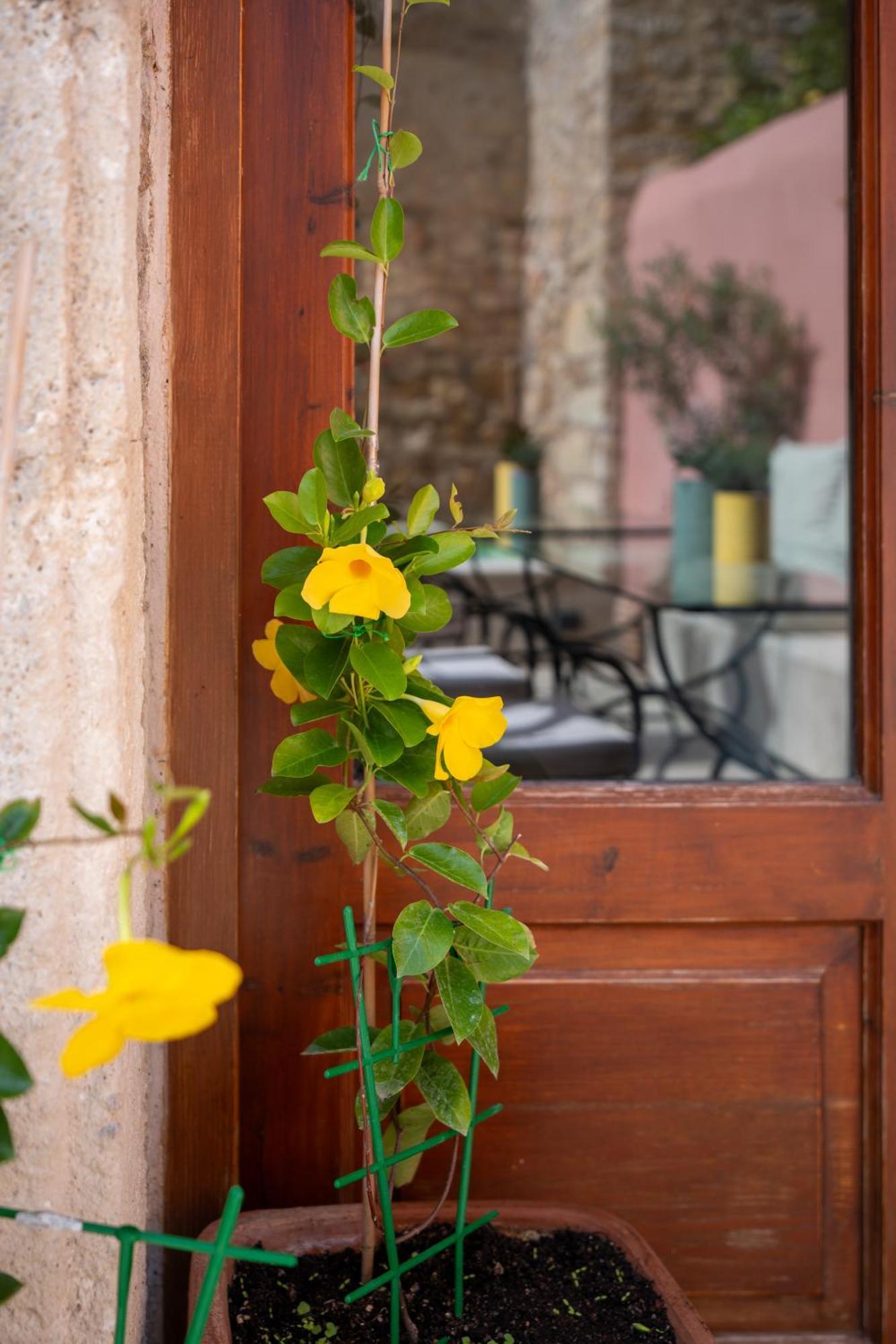Phaedra Suites (Adults Only) Rethymno Exteriér fotografie